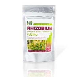 Rhizobium Łubinu (Rhizobium Lupinus)  100 g